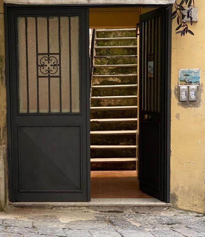 Figurari Napoli-2 *